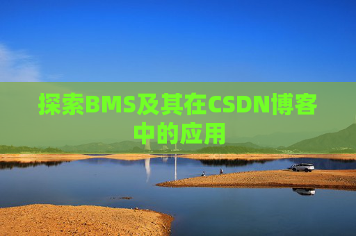 探索BMS及其在CSDN博客中的应用