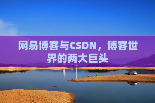 网易博客与CSDN，博客世界的两大巨头