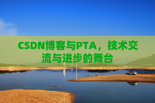 CSDN博客与PTA，技术交流与进步的舞台